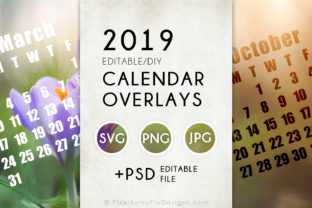 2019 Calendar Overlay Templates PSD