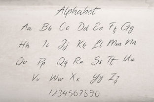 Calligraphic Alphabet: A Versatile Tool for Modern Design