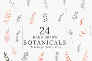 Hand-drawn Botanical Illustrations